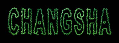 Changsha Ormanı, Changsha Şehir Kubbesi