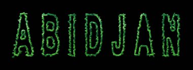 Abidjan Ormanı, Abidjan Şehir Tepesi Siyah