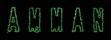 Amman Ormanı, Amman Şehir Tepesi Siyah