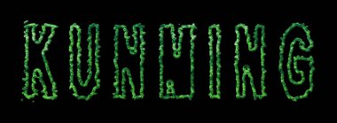 Kunming Ormanı, Kunming Şehir Tepesi Siyah