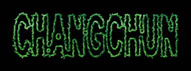 Changchun Ormanı, Changchun Şehir Kubbesi