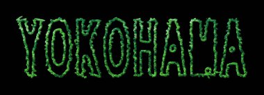 Yokohama Ormanı, Yokohama Şehir Kubbesi