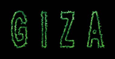 Giza Ormanı, Giza Şehir Ormanı Kara Kubbe