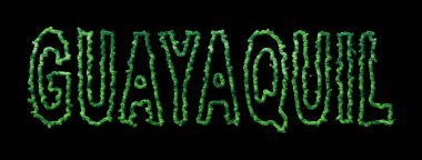 Guayaquil Ormanı, Guayaquil Şehir Kubbesi