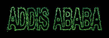 Addis Ababa Ormanı, Addis Ababa Kara Kubbe