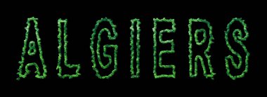 Cezayir Ormanı, Cezayir Şehir Ormanı Kara Kubbe