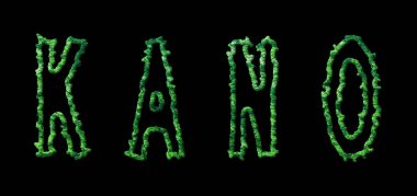 Kano Ormanı, Kano Şehir Kanopisi