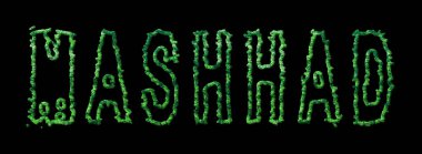 Mashhad Ormanı, Mashhad Şehir Kubbesi