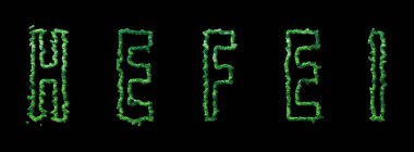 Hefei Ormanı, Hefei Şehir Kubbesi