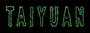 Taiyuan Ormanı, Taiyuan Şehir Kubbesi