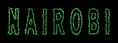 Nairobi Ormanı, Nairobi Şehir Kubbesi