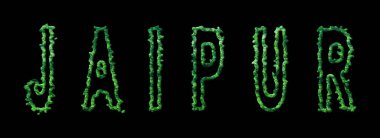 Jaipur Ormanı, Jaipur Şehir Kubbesi