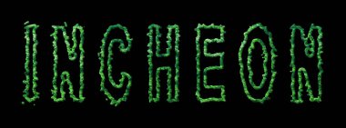 Incheon Ormanı, Incheon Şehir Tepesi Siyah