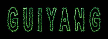 Guiyang Ormanı, Guiyang Şehir Kubbesi