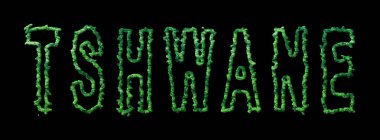 Tshwane Ormanı, Tshwane Şehir Tepesi