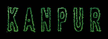 Kanpur Ormanı, Kanpur Şehir Kanopisi