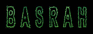 Basrah Ormanı, Basrah Şehir Kara Tepe Örtüsü