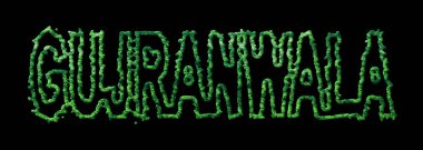 Gujranwala Ormanı, Gujranwala Şehir Kubbesi