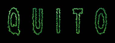 Sessiz Orman, Quito Şehir Ormanı Siyah Kubbe