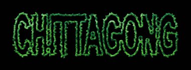 Chittagong Ormanı, Chittagong Şehir Tepesi