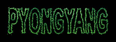 Pyongyang Ormanı, Pyongyang Şehir Tepesi