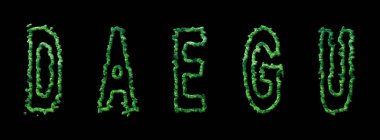 Daegu Ormanı, Daegu Şehir Ormanı Kara Kubbe