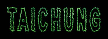 Taichung Ormanı, Taichung Şehir Tepesi