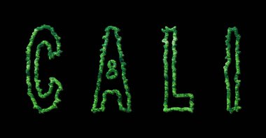 Cali Ormanı, Cali Şehir Tepesi Siyah