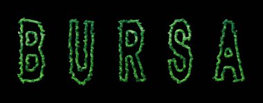 Bursa Ormanı, Bursa Siyah Şehir Tepesi