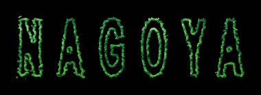 Nagoya Ormanı, Nagoya Şehir Kubbesi