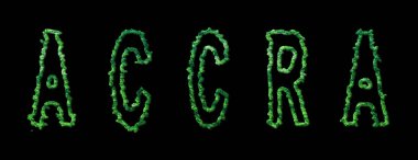 Accra Ormanı, Accra Şehir Kara Tepe Örtüsü