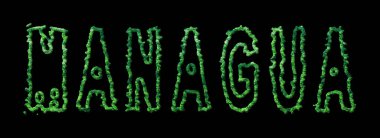 Managua Ormanı, Managua Şehir Tepesi Siyah