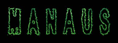 Manaus Ormanı, Manaus Şehir Ormanı Kara Kubbe