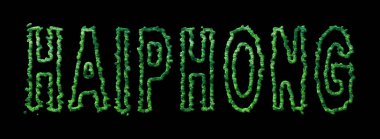 Haiphong Ormanı, Haiphong Şehir Kubbesi