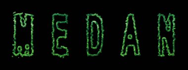 Medan Ormanı, Medan Şehir Kara Kubbe