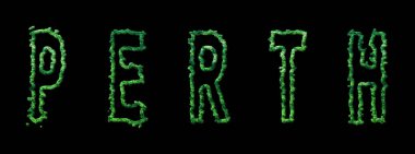 Perth Ormanı, Perth Şehir Tepesi