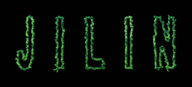 Jilin Ormanı, Jilin Şehir Tepesi Siyah