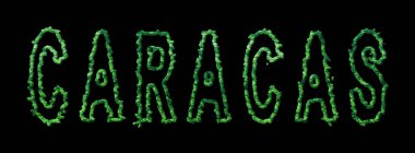 Karakas Ormanı, Karakas Şehir Kubbesi