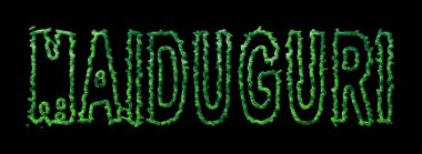 Maiduguri Ormanı, Maiduguri Şehir Kubbesi