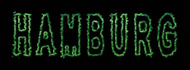 Hamburg Ormanı, Hamburg Siyah Şehir Tepesi