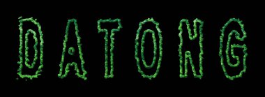 Datong Ormanı, Datong Şehir Kubbesi