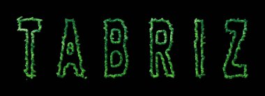 Tabriz Ormanı, Tabriz Siyah Şehir Tepesi