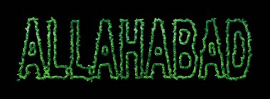 Allahabad Ormanı, Allahabad Kara Şehir Tepesi