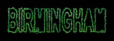 Birmingham Ormanı, Birmingham Şehir Tepesi