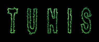 Tunus Ormanı, Tunus Şehir Tepesi Siyah