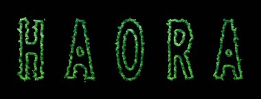 Haora Ormanı, Haora Şehir Kubbesi