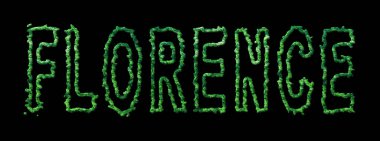 Floransa Ormanı, Floransa Siyah Şehir Tepesi