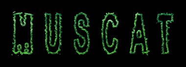 Muscat Ormanı, Muscat Urban Canopy on Black