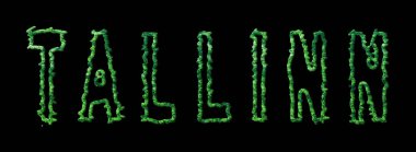 Tallinn Ormanı, Tallinn Şehir Tepesi Siyah