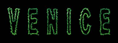 Venedik Ormanı, Venedik Şehir Ormanı Kara Kubbe